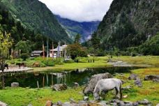 雨崩下村-德钦-enjoyzent