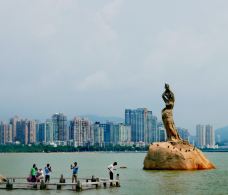 珠海拱北口岸-珠海-不可触碰撞的鱼