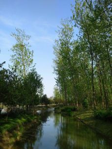 滨湖国家森林公园-合肥-山在穷游