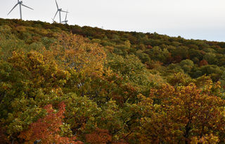 2021年黑龙江秋季自驾深度游 --五花山（2021.9.3-24）