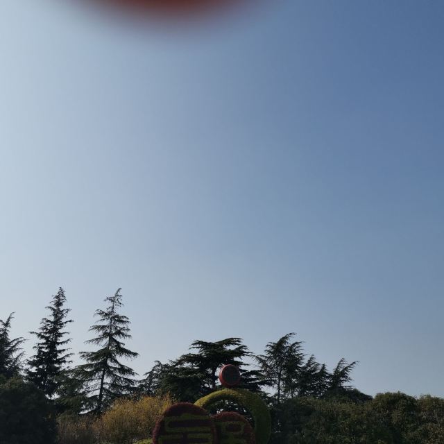 横州市茉莉花文化公园旅行图片 1
