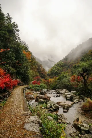 宁波四明山｜栖霞坑｜古道行