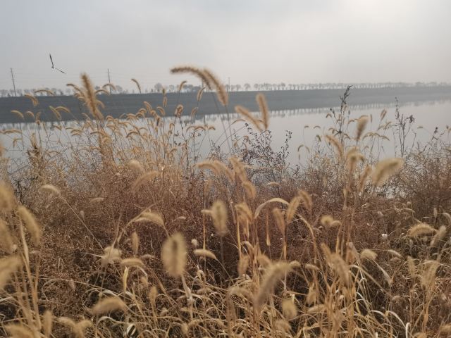呼和浩特市赛罕区小黑河景观带旅行图片 5