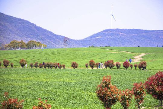 我不允许你还不知道,安徽第一目前唯一的国家级旅游度假区,半汤旅游度假村