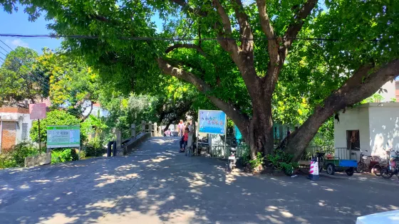 新洲村