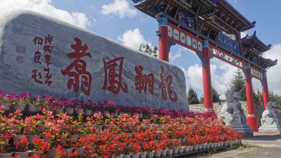 龍鳳公墓