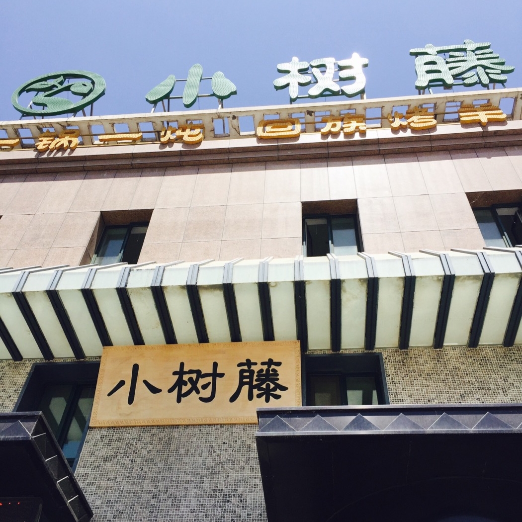 小树藤餐厅(唐徕湖畔店)餐厅图片