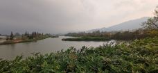 新大河禾塘湿地公园-深圳-M11****995