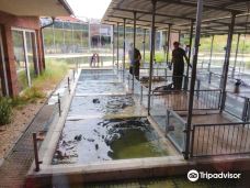 Seehundstation und Waloseum-诺德代希