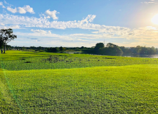 库里提巴诺提科公园-库里提巴