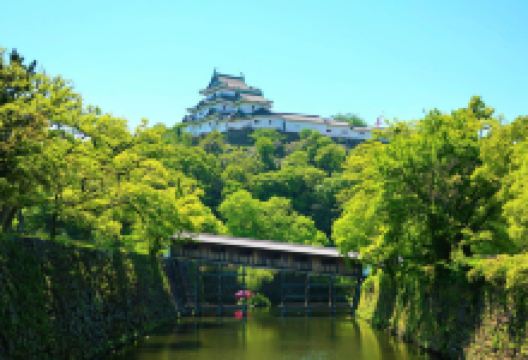 和歌山城景点图片