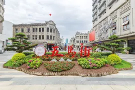 1-Day Wenzhou Tour: Charming Jiangxin Islet and Nan Tang Nightscape