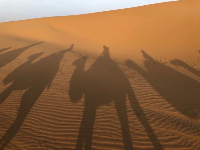 腾格里景区旅行图片 2