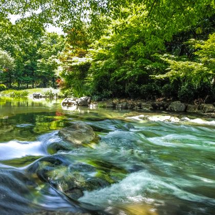 杭州+灵隐寺+西溪国家湿地公园2日1晚自由行