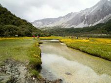 稻城亚丁-冲古草甸-稻城-enjoyzent