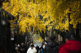 宽窄巷子|周边拍照打卡秘籍