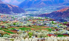 金川游记图片] 去金川赏梨花，你关心的问题都在这儿！