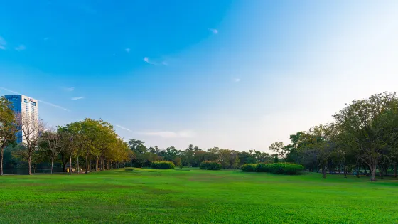 中央公園