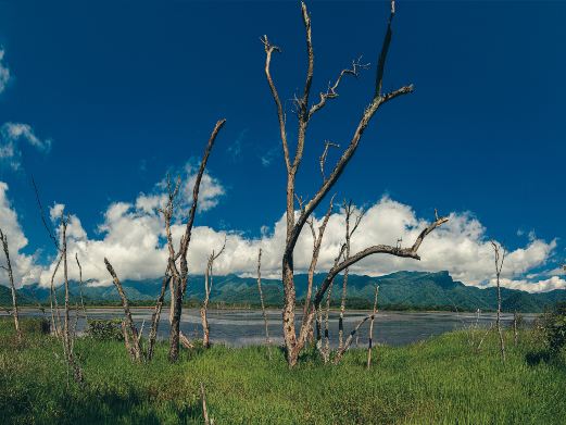 神农架林区神农架大九湖国家湿地公园-观景台