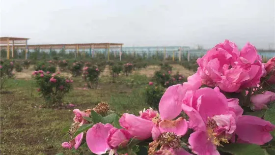 草河國家濕地公園