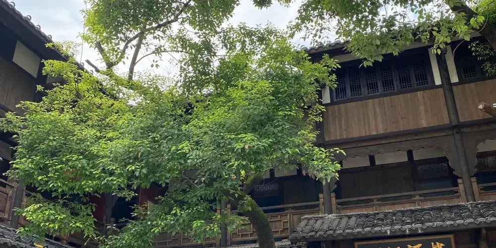 永安旅遊