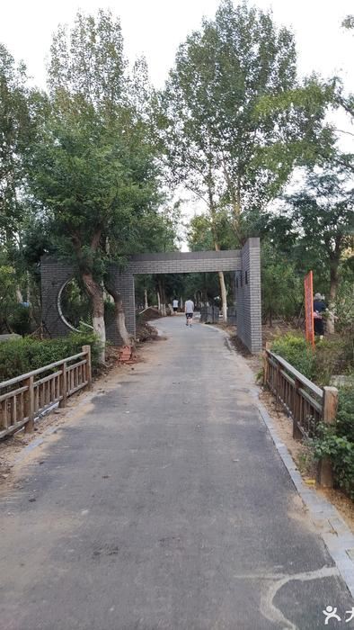 皂角园旅行图片 1
