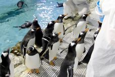 海滨城浩海立方海洋公园-成都-C-IMAGE