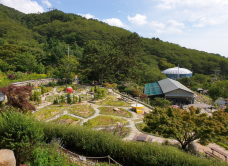 Jinhae Botanical Museum-昌原市-C-IMAGE