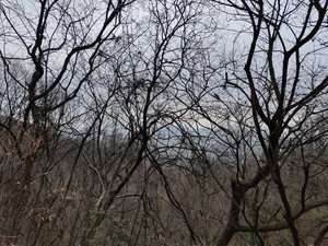 句容游记图文-大华山，徒步镇江第一高峰