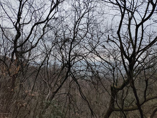 大华山，徒步镇江第一高峰