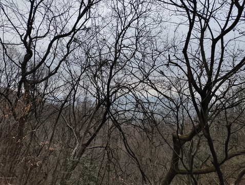 大华山,徒步镇江第一高峰