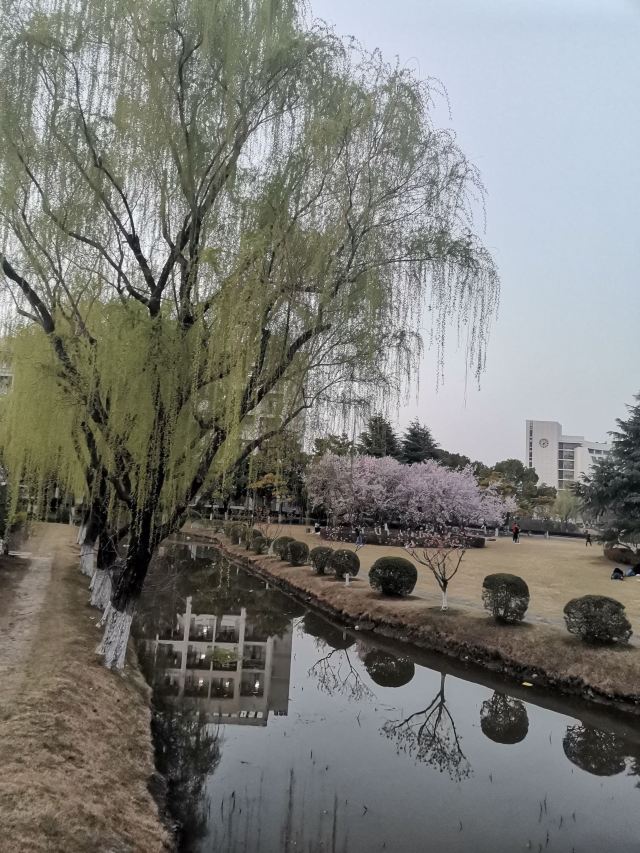 莘庄公园旅行图片 3