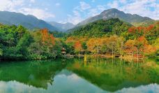 野趣沟-河源-C-IMAGE