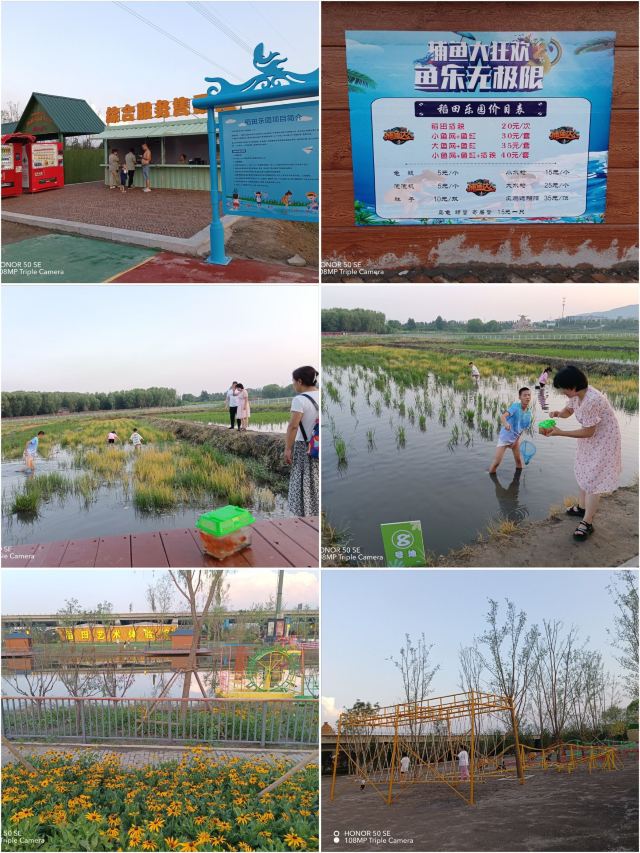 太原康培稻田公园旅行图片 4