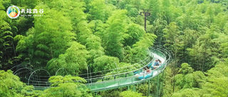 今日大暑！天际森谷团建还是竹海漂流最好玩!