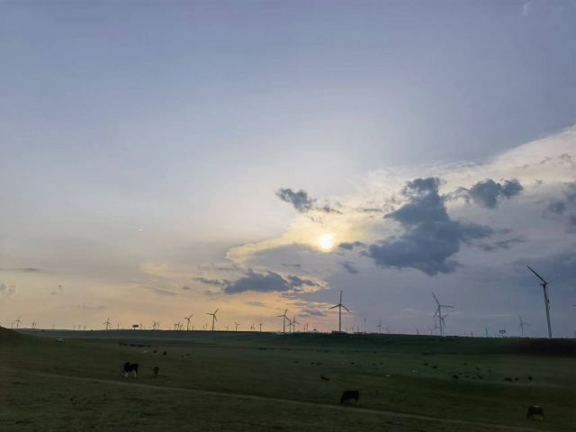 乌兰察布植物园旅行图片 1