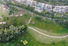 惠州金山河白鹭栖霞景点图片