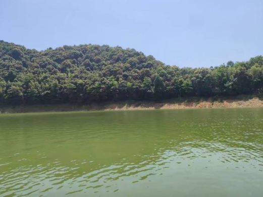 白鹭湖国家森林公园