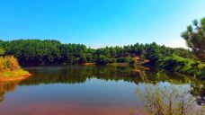 丰乐谷景区-永丰-沁沁布偶猫