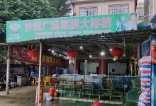 沙湾海鲜大排档美食图片