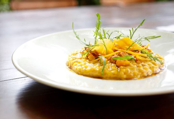 Grains Nobles et Plus