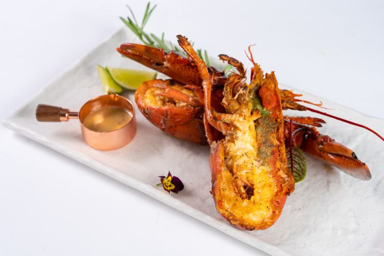 Western Rock Lobster