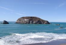 Harris Beach State Park景点图片