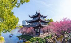 月湖公园-宁波