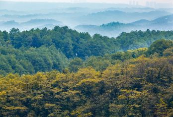 缙云山一日游【2-6人小团 城市后花园，近郊游、纯玩无购物】【[品质亮点]：含门票，您不操心繁琐的排队购票事情及等待苦恼，旅游管家为您操办一切，没有后顾之忧。】