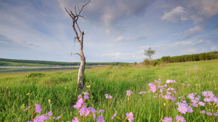 3-day 2-night · Private Tour · China + Inner Mongolia + Beijing + Saihanba National Forest Park + Wulanbutong Steppe Tourist Area