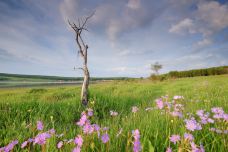 乌兰布统草原-克什克腾旗