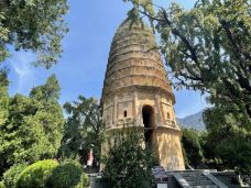 嵩阳景区-登封-岱山香橙