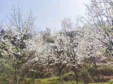 泸州方山风景区-泸州