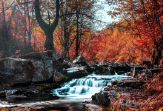 枫林谷森林公园景点图片